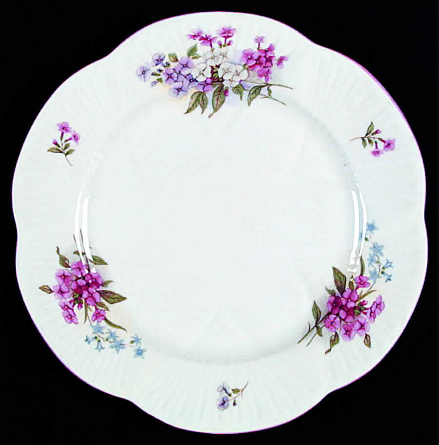 Stocks (Dainty Shape) Salad Plate by Shelley-1