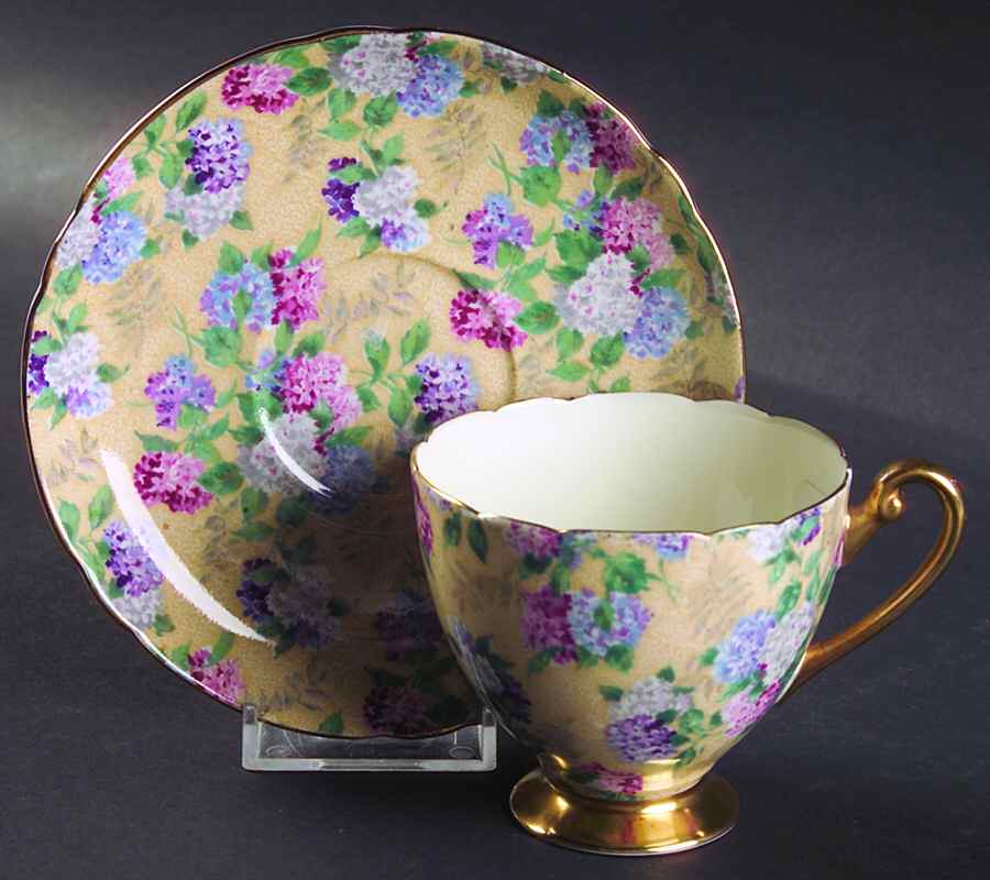 Summer Glory Footed Cup & Saucer Set by Shelley-1