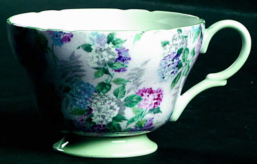 Summer Glory (Henley) Footed Cup by Shelley-1