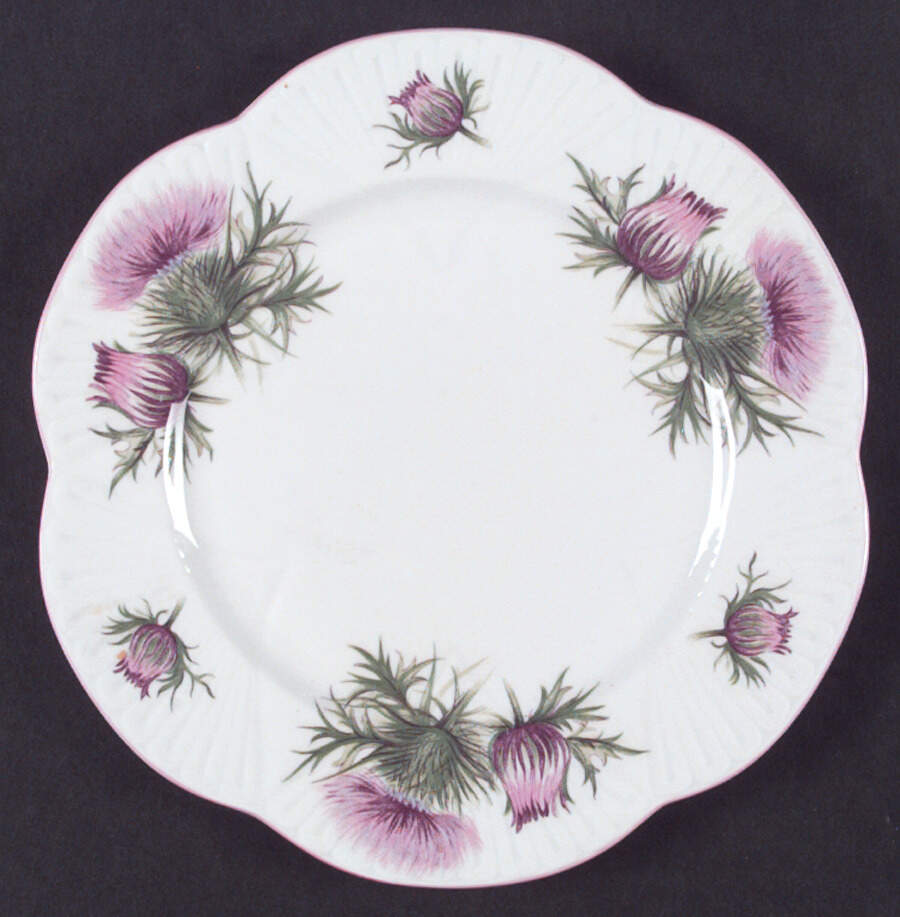 Thistle (Dainty, Pink, Pink Trim) Salad Plate by Shelley-1