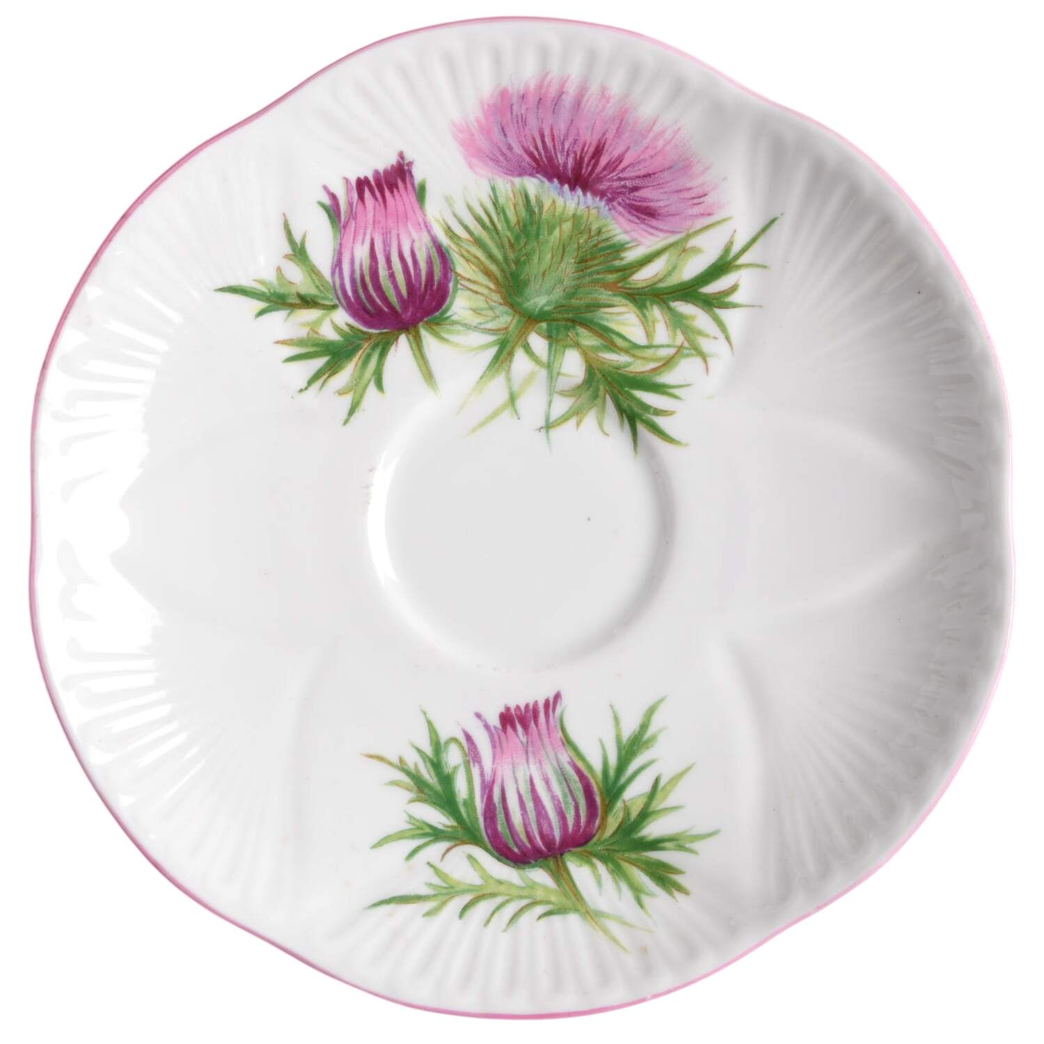 Thistle (Dainty, Pink, Pink Trim) Saucer by Shelley-1