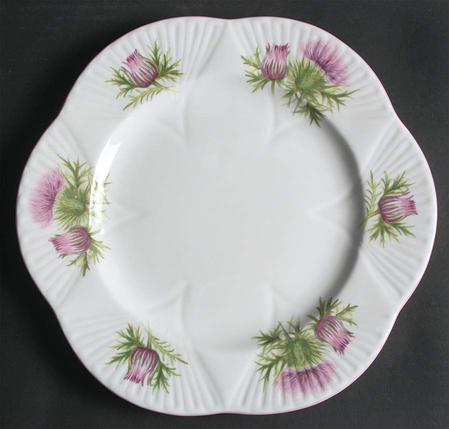 Thistle (Dainty, Pink, Pink Trim) Dinner Plate by Shelley-1