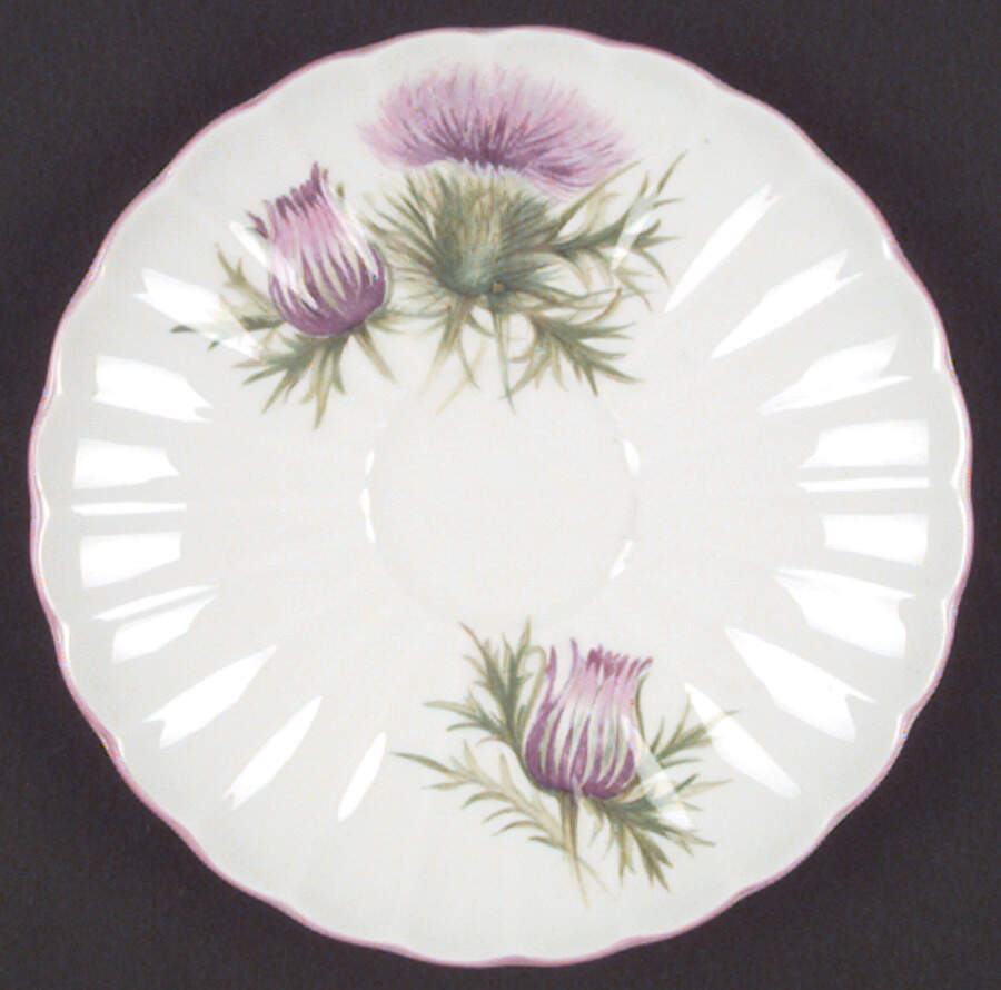 Thistle (Oleander, Purple, Pink Trim) Saucer by Shelley-1