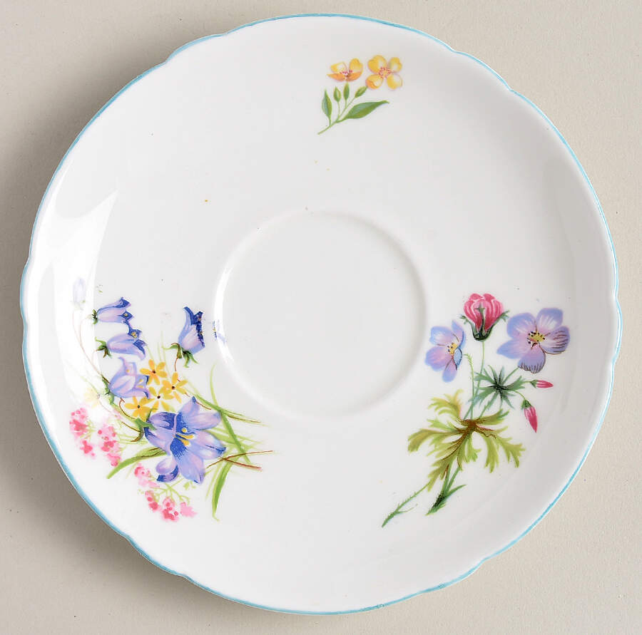 Wild Flowers (Gainsborough) Saucer by Shelley-1
