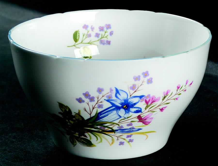 Wild Flowers (Gainsborough) Open Sugar Bowl by Shelley-1
