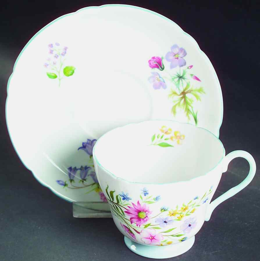 Wild Flowers (Gainsborough) Footed Cup & Saucer Set by Shelley-1