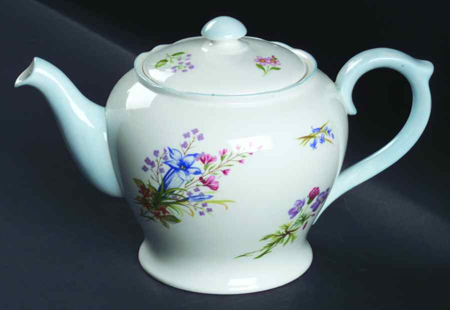Wild Flowers (Gainsborough) Teapot & Lid by Shelley-1