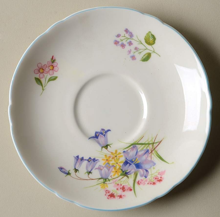 Wild Flowers (Gainsborough) Saucer for Demitasse Cup by Shelley-1