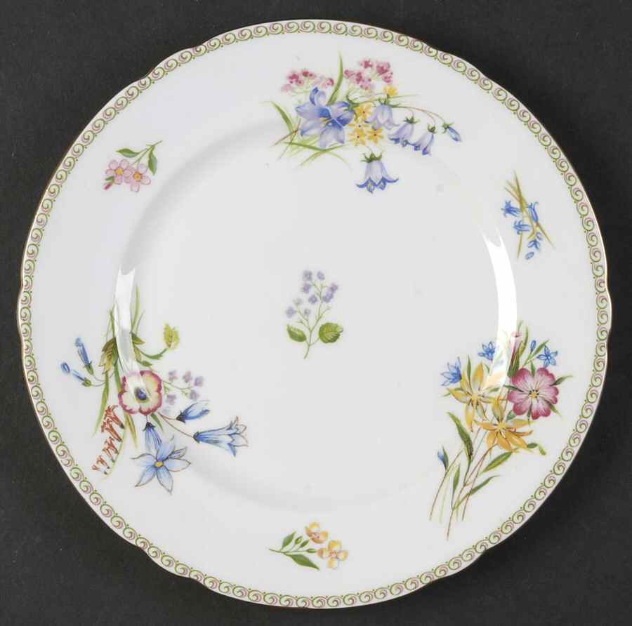 Wild Flowers (Gainsborough) Salad Plate by Shelley-1