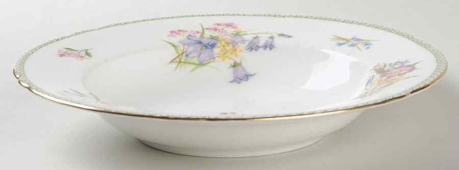 Wild Flowers (Gainsborough) Rim Soup Bowl by Shelley-1