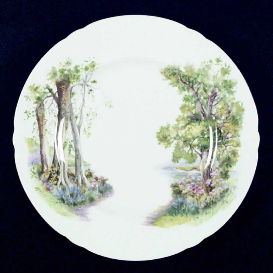 Woodland Dinner Plate by Shelley-1