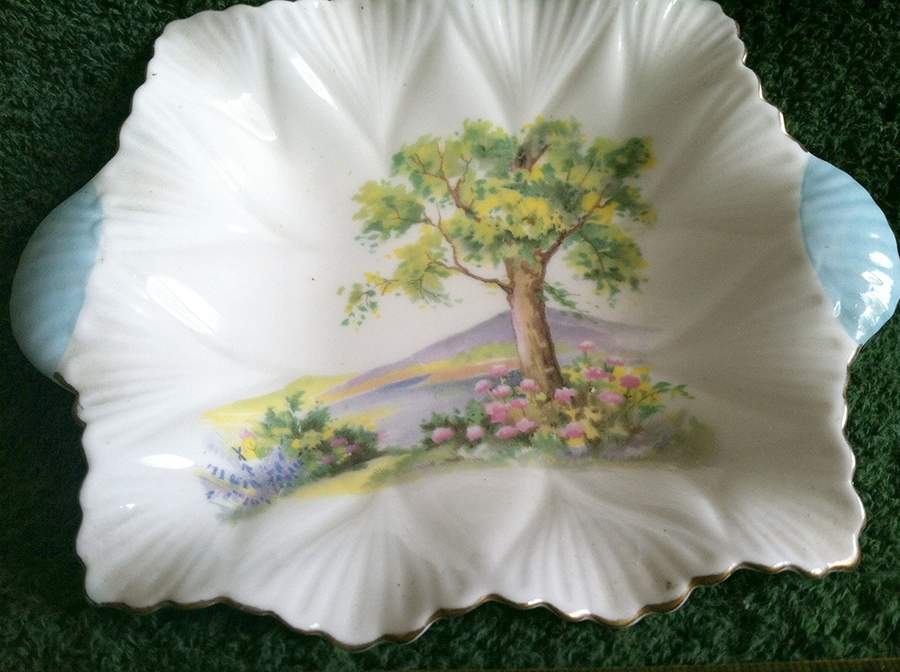 Woodland 6" Square Sweet Meat by Shelley-1