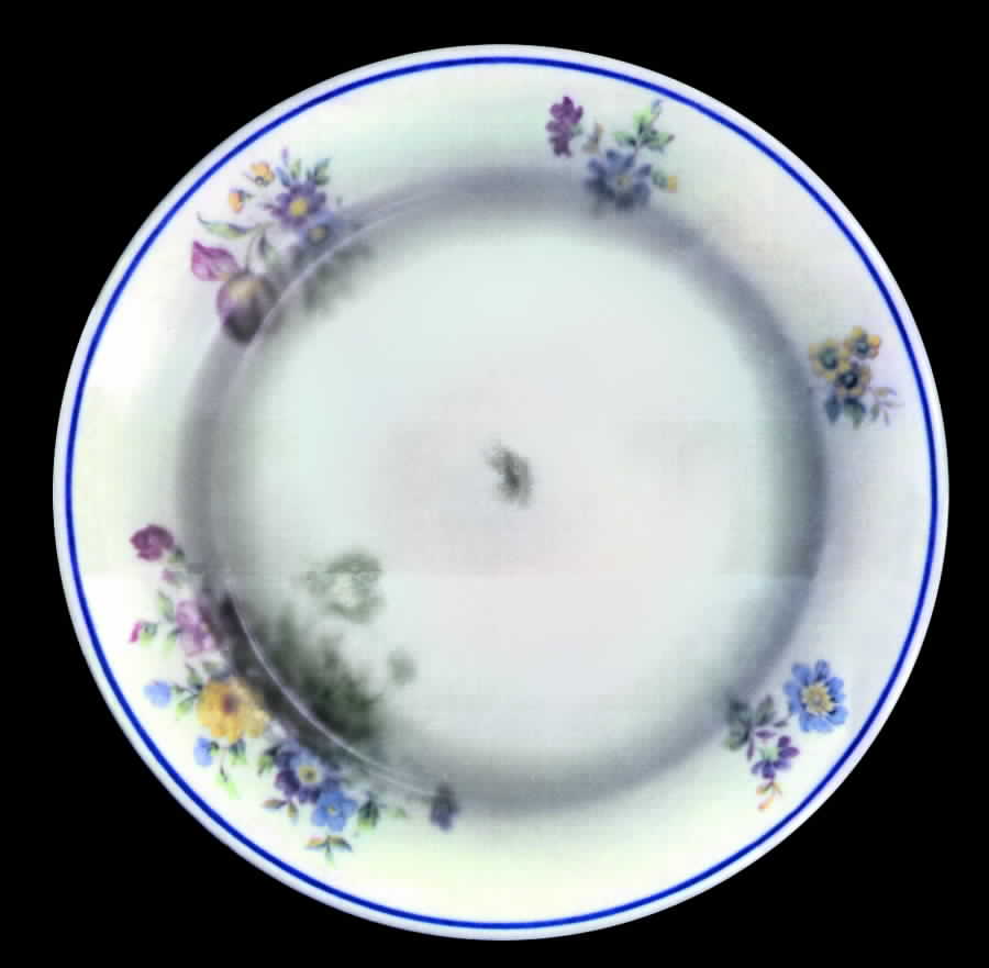 SHO34 Salad Plate by Shenango-1