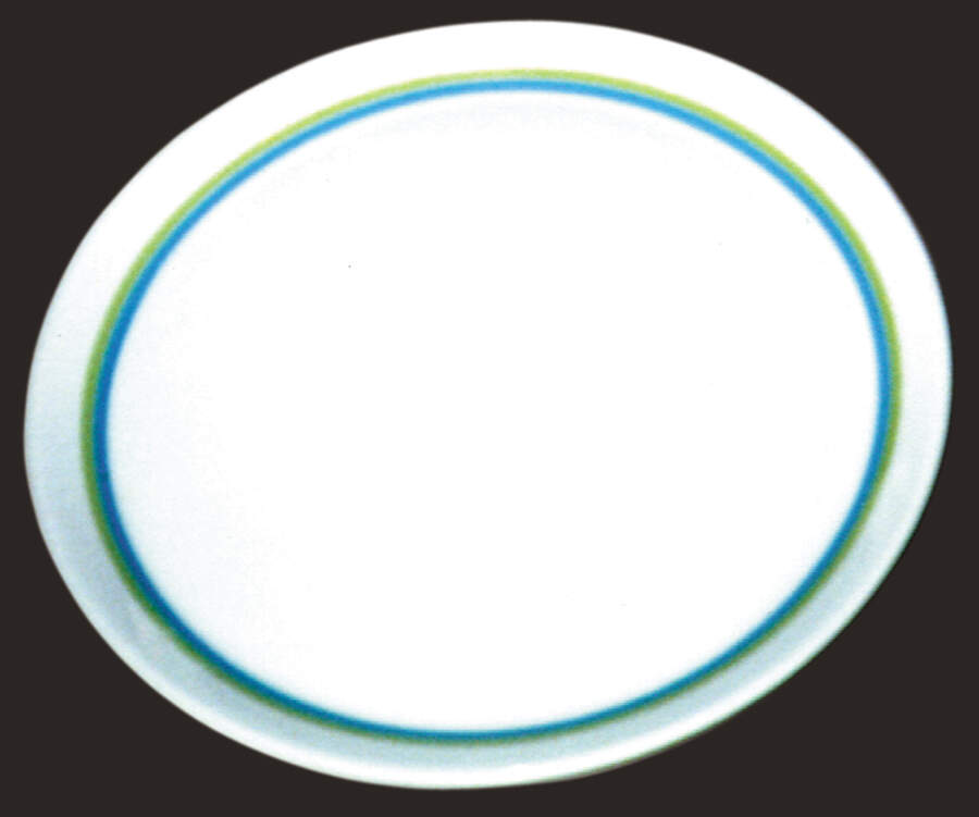 SHO39 Dinner Plate by Shenango-1