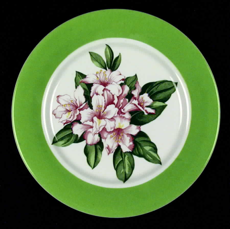 SHO4 Dinner Plate by Shenango-1
