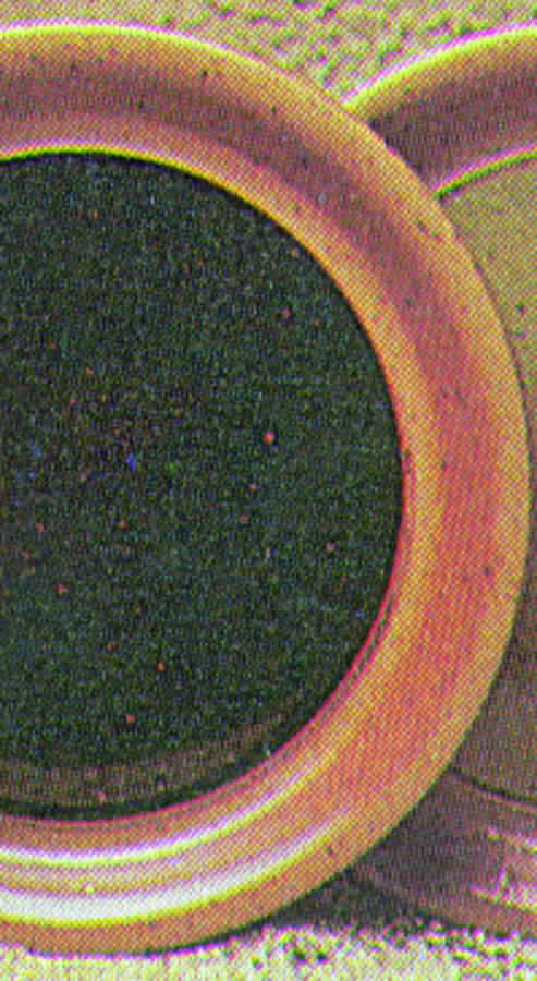 Tenmoku Dinner Plate by Sial-1