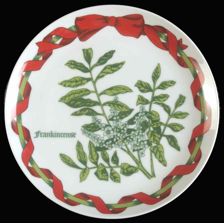 Christmas Botanical Salad Plate by Sigma-1