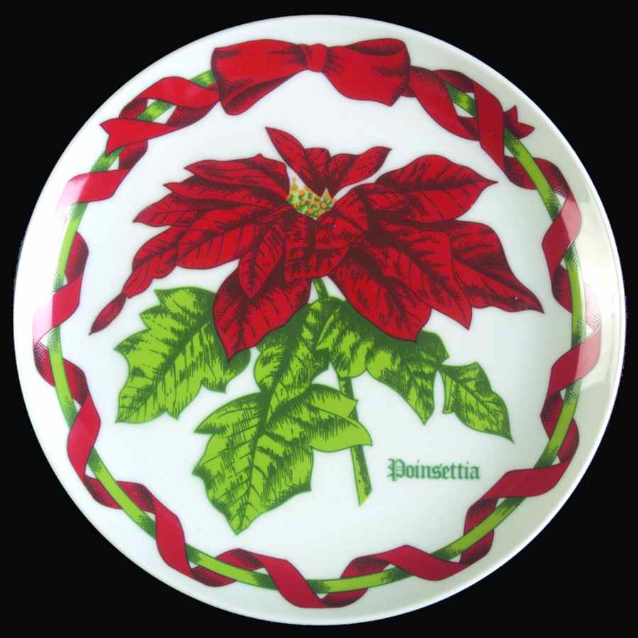 Christmas Botanical Salad Plate by Sigma-1
