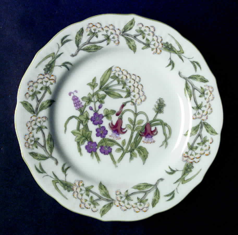 Mimosa Salad Plate by Sigma-1