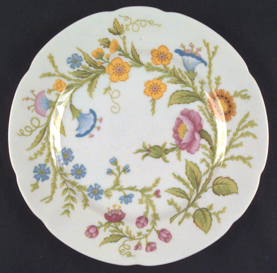 Monticello Dinner Plate by Sigma-1
