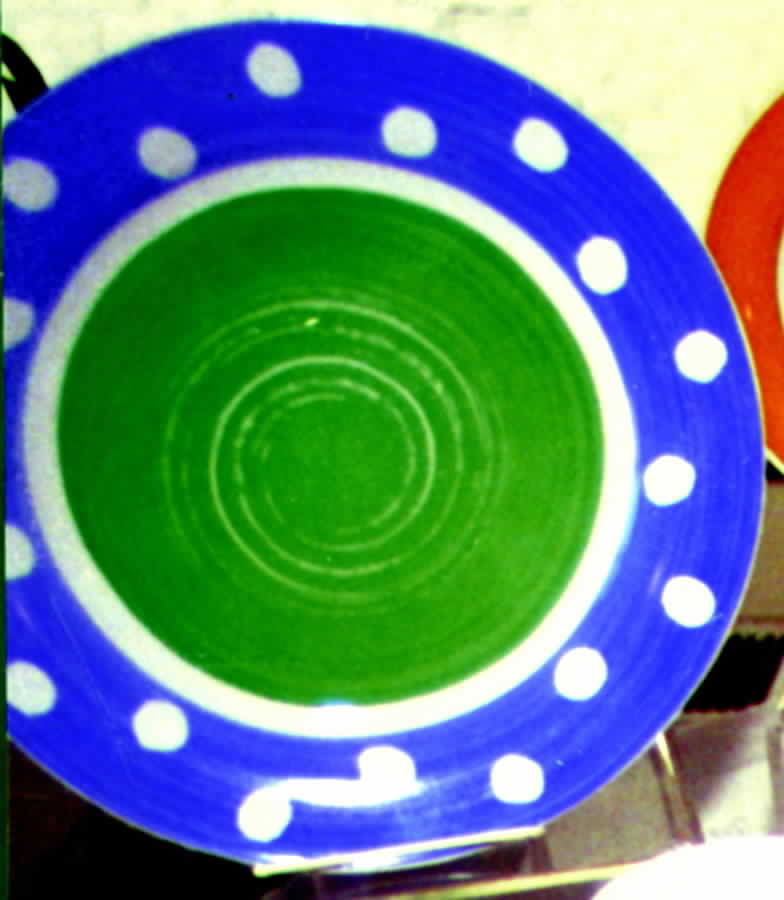 Polka Dot Dinner Plate by Signature-1