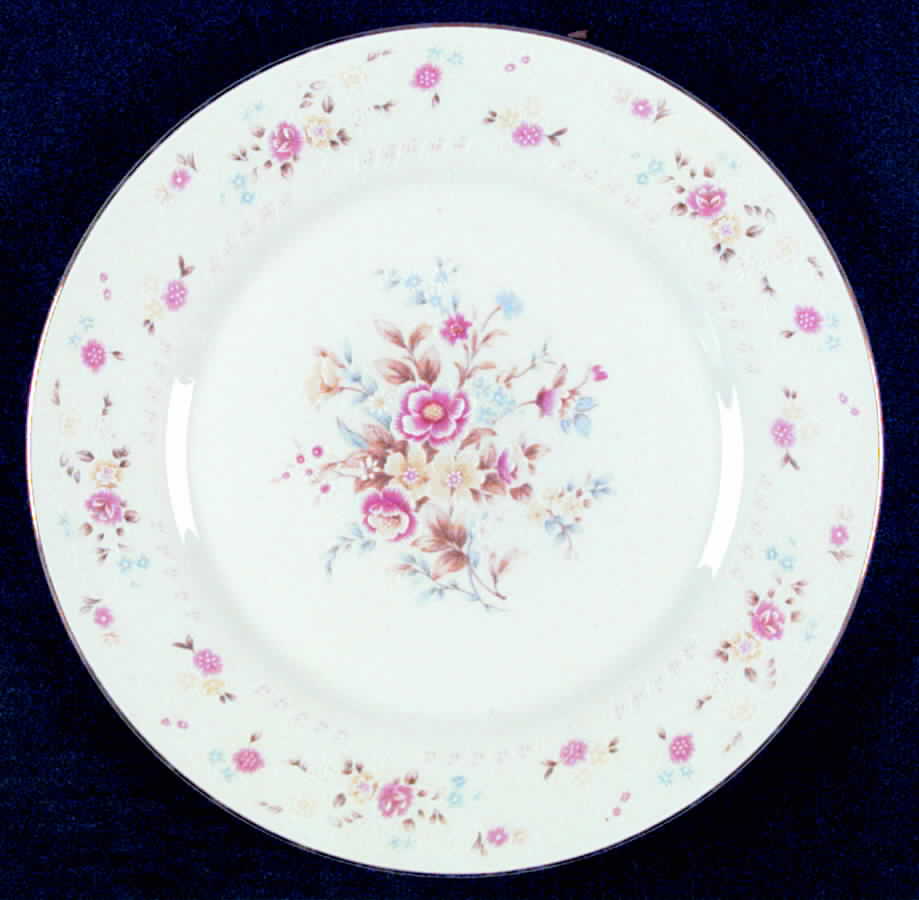 SIV3 Dinner Plate by Silverie-1