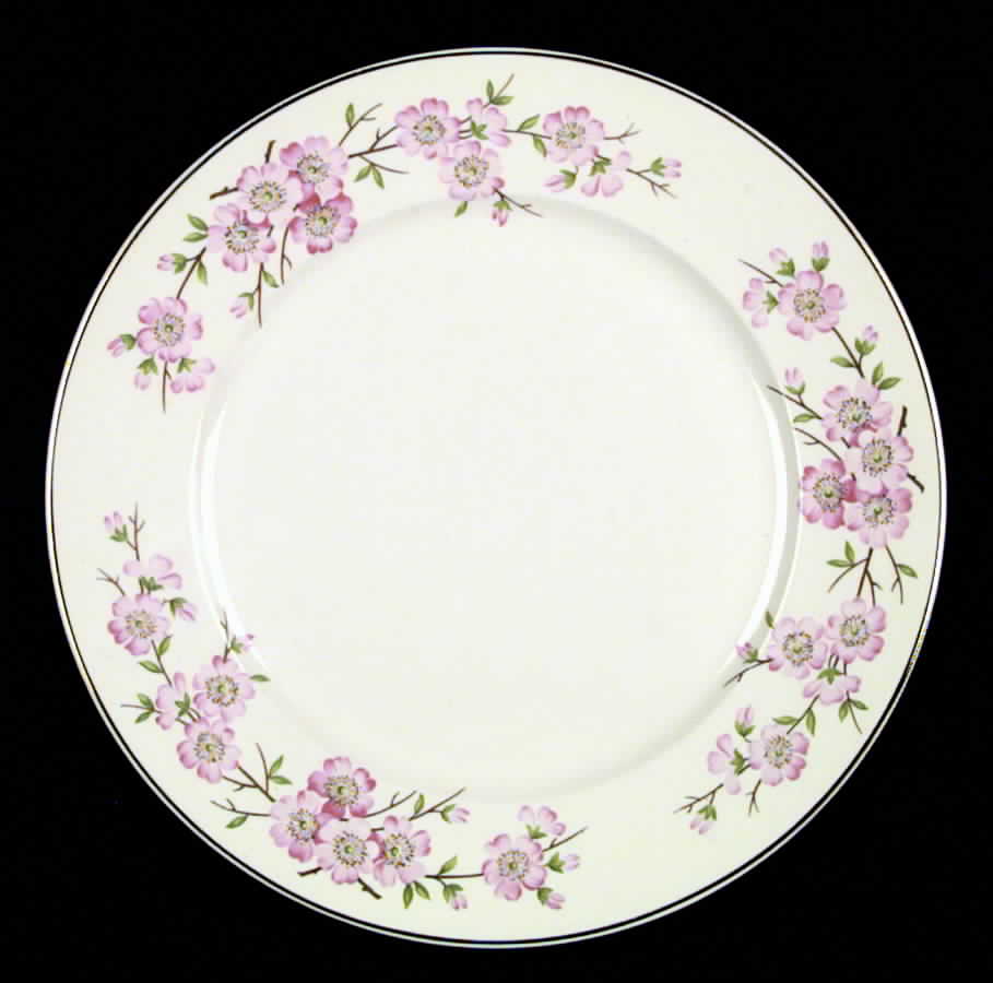 Blossomtime Dinner Plate by Salem-1