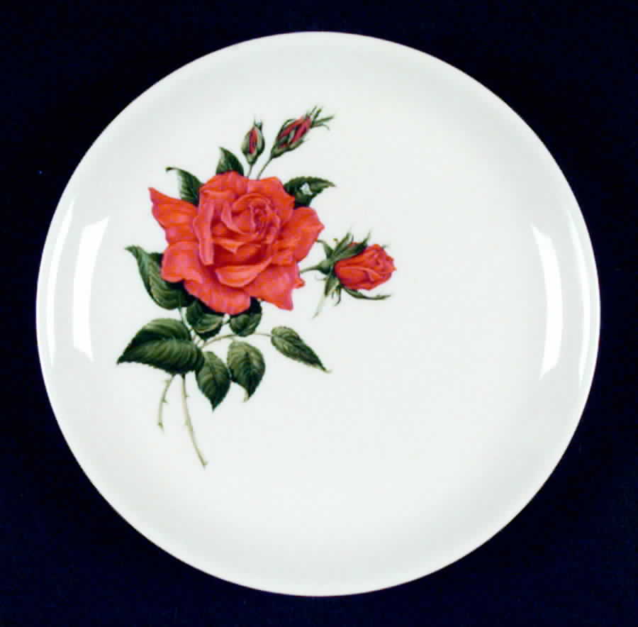 Briarcliff Bread & Butter Plate by Salem-1