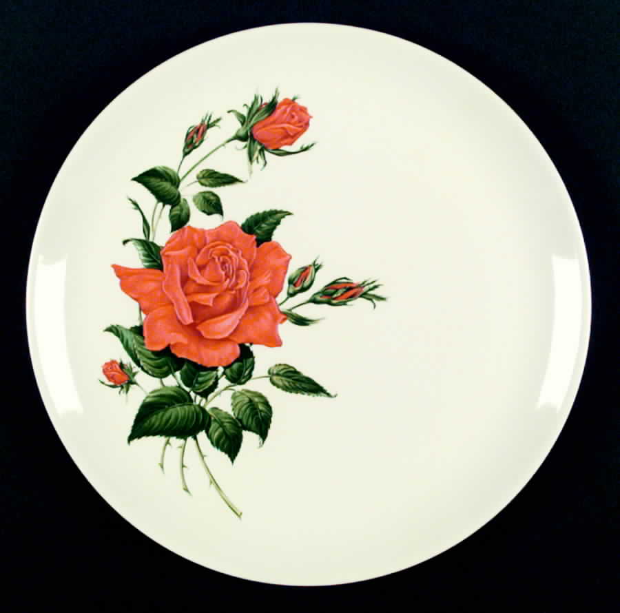 Briarcliff Dinner Plate by Salem-1