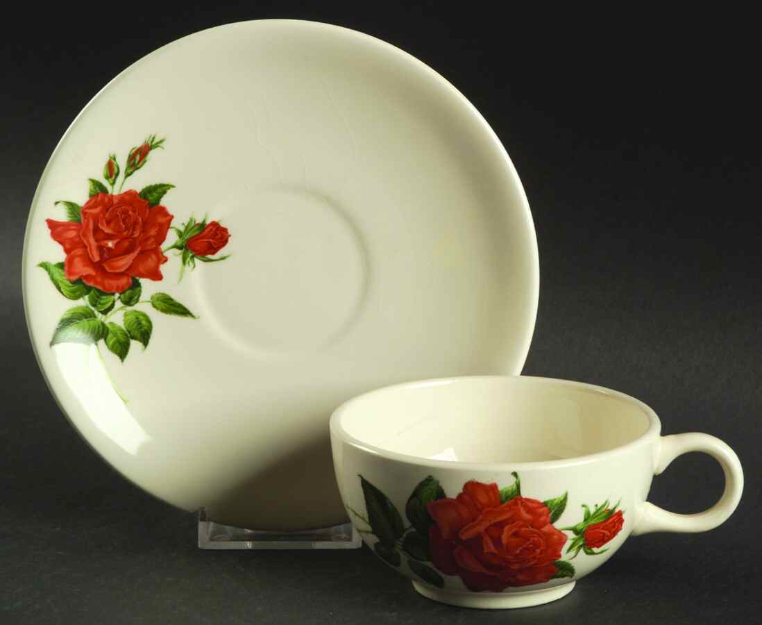 Briarcliff Flat Cup & Saucer Set by Salem-1