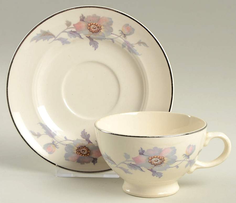 Bryn Mawr Footed Cup & Saucer Set by Salem-1