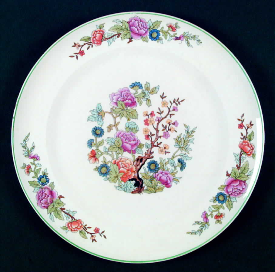 Ceylon Dinner Plate by Salem-1