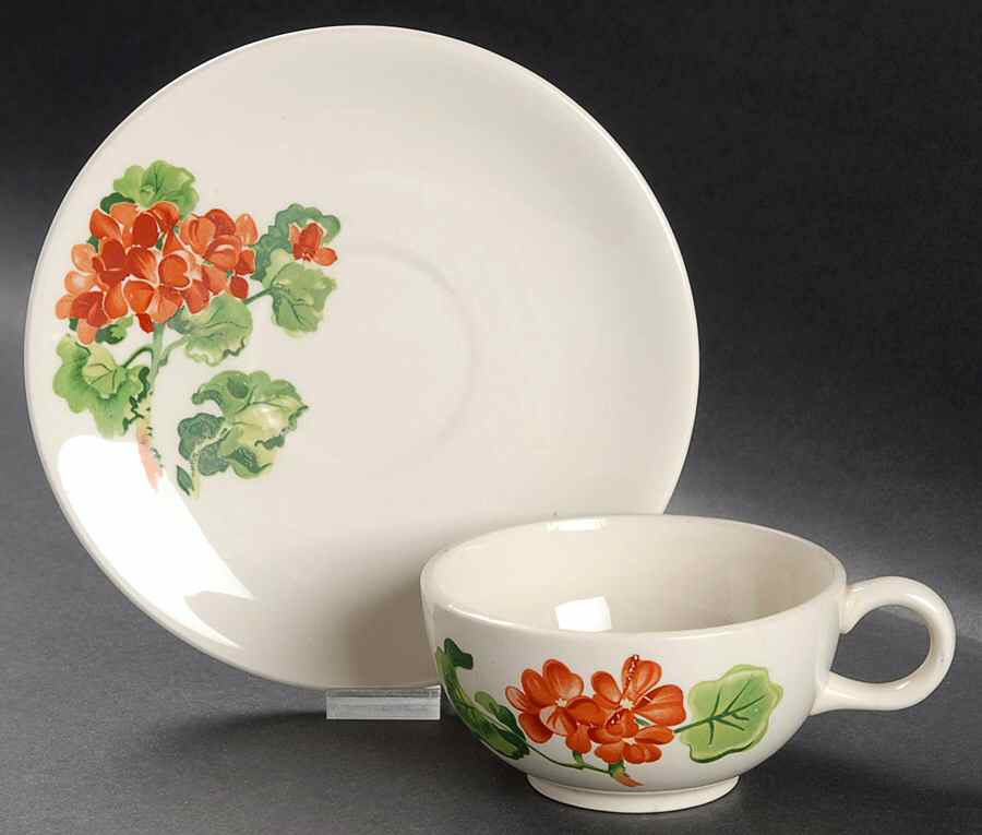 Geranium Flat Cup & Saucer Set by Salem-1