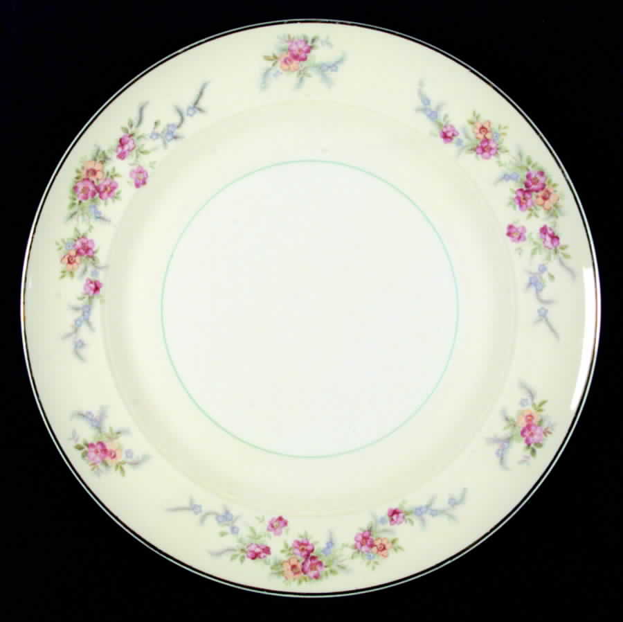 Monticello (Smooth Rim) Dinner Plate by Salem-1