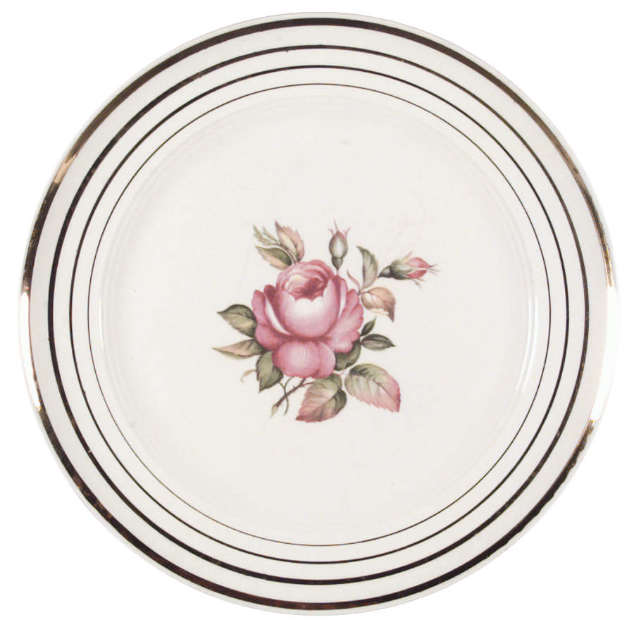 Mt Vernon Dinner Plate by Salem-1