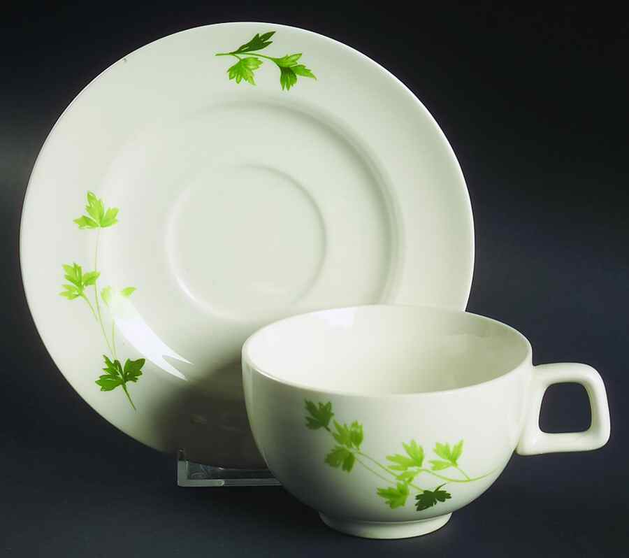 Parsley Flat Cup & Saucer Set by Salem-1