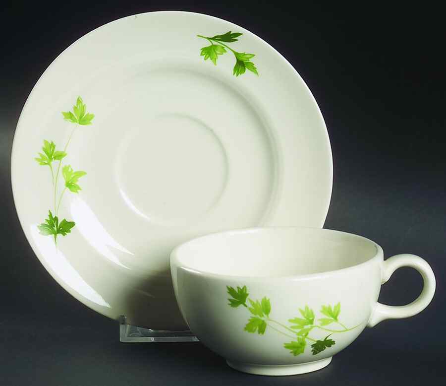 Parsley Flat Cup & Saucer Set by Salem-1