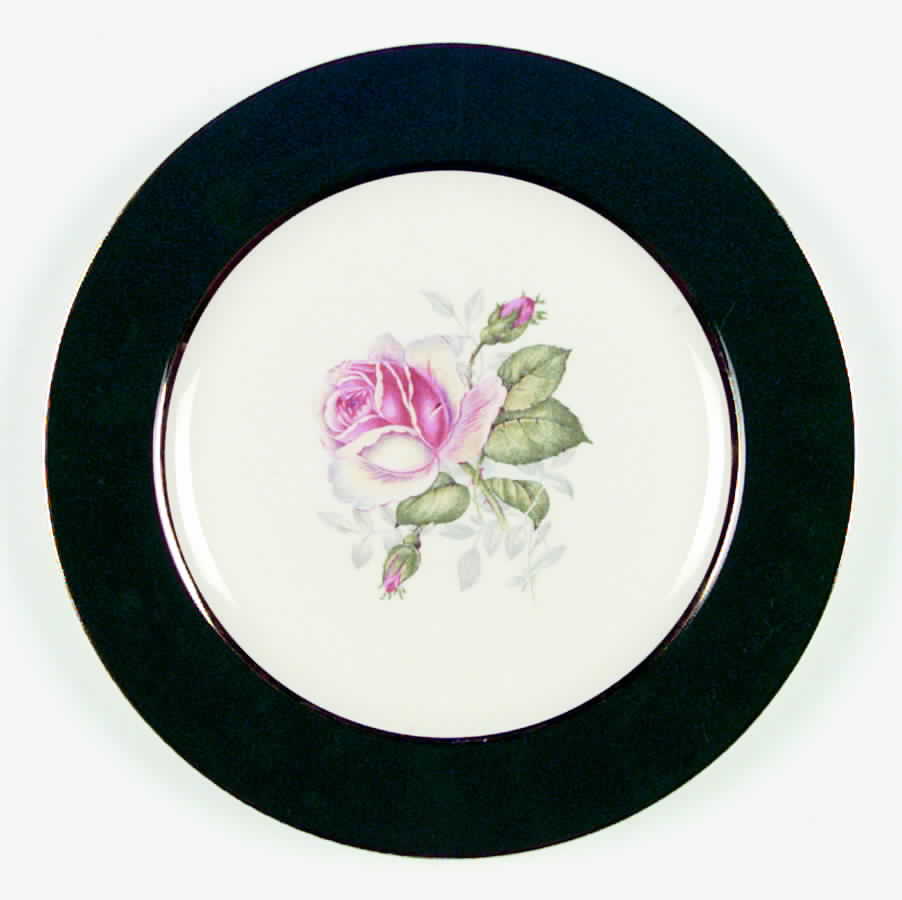 Princess Jane Dinner Plate by Salem-1