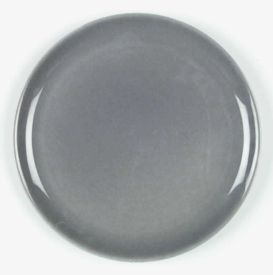 Ranch Style Birch Gray Dinner Plate by Salem-1