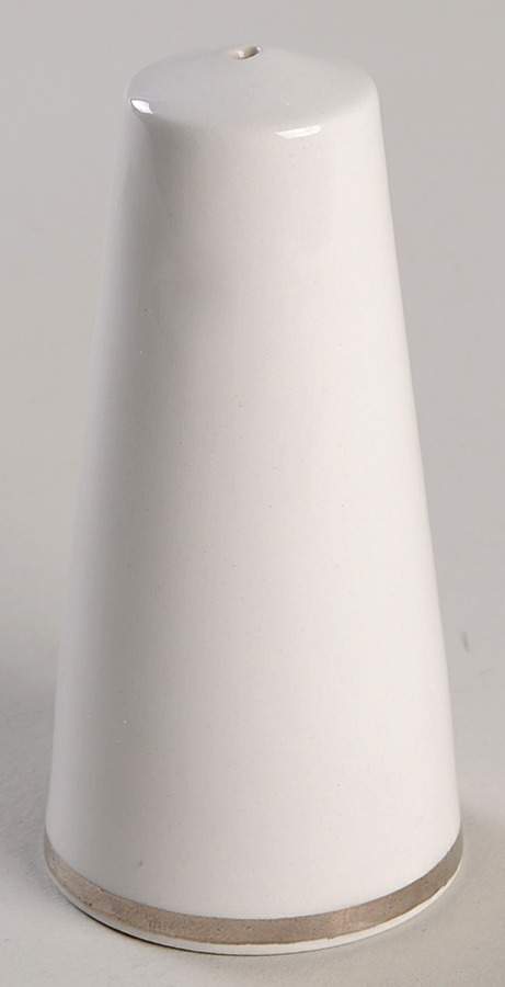 Silver Elegance (England) Salt Shaker by Salem-1