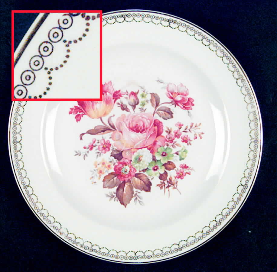 SLM10 Luncheon Plate by Salem-1