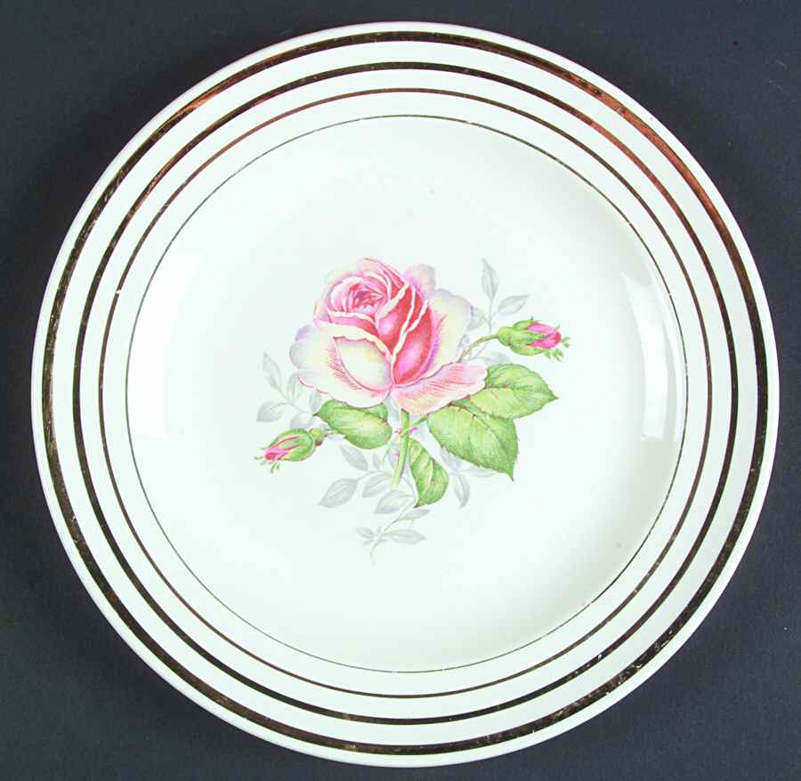 SLM103 Luncheon Plate by Salem-1