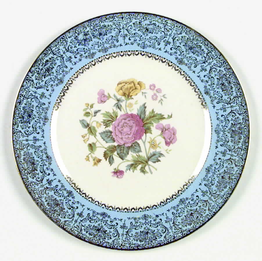 SLM18 Dinner Plate by Salem-1