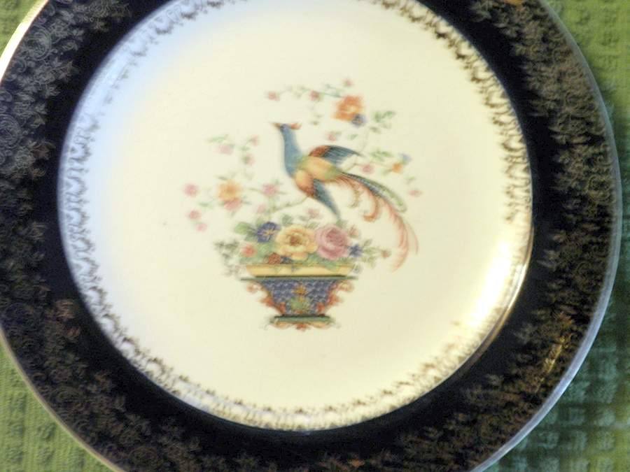 SLM20 (CHINA) Salad Plate by Salem-1