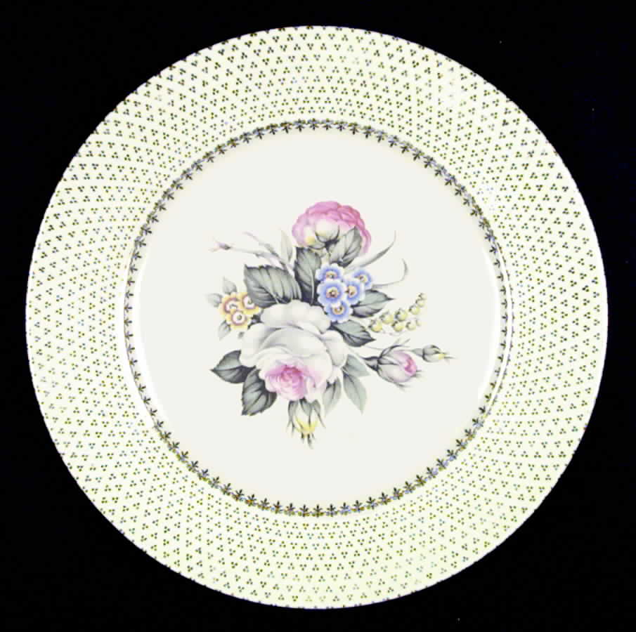 SLM21 Dinner Plate by Salem-1