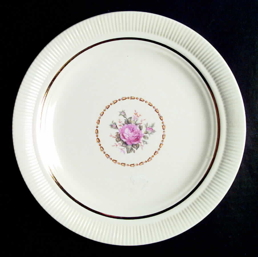 SLM22 Dinner Plate by Salem-1