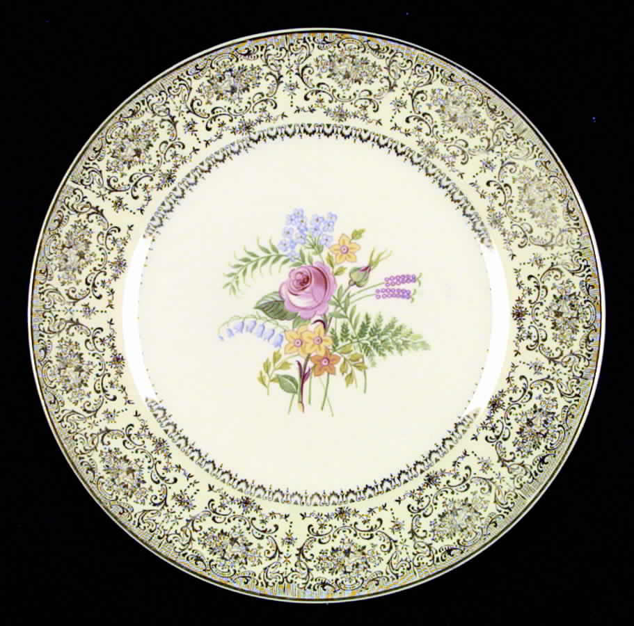 SLM24 Dinner Plate by Salem-1