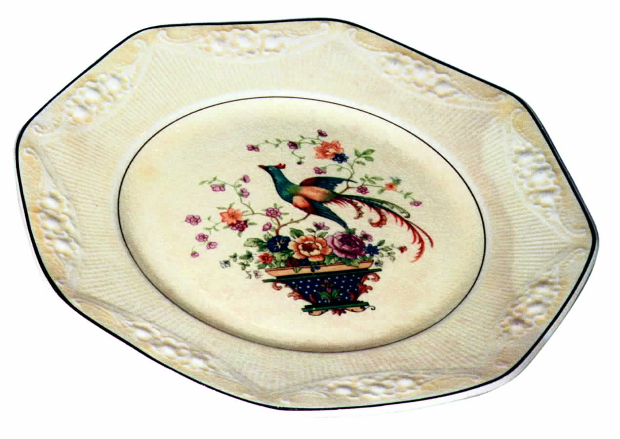SLM30 Dinner Plate by Salem-1