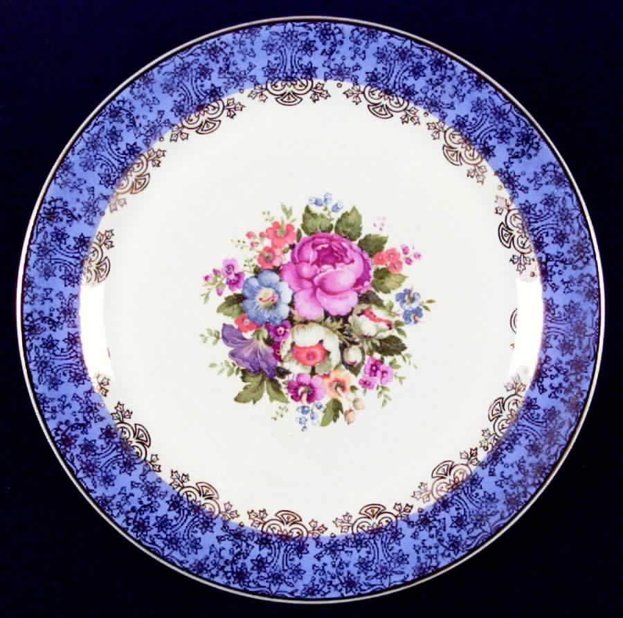 SLM35 Dinner Plate by Salem-1