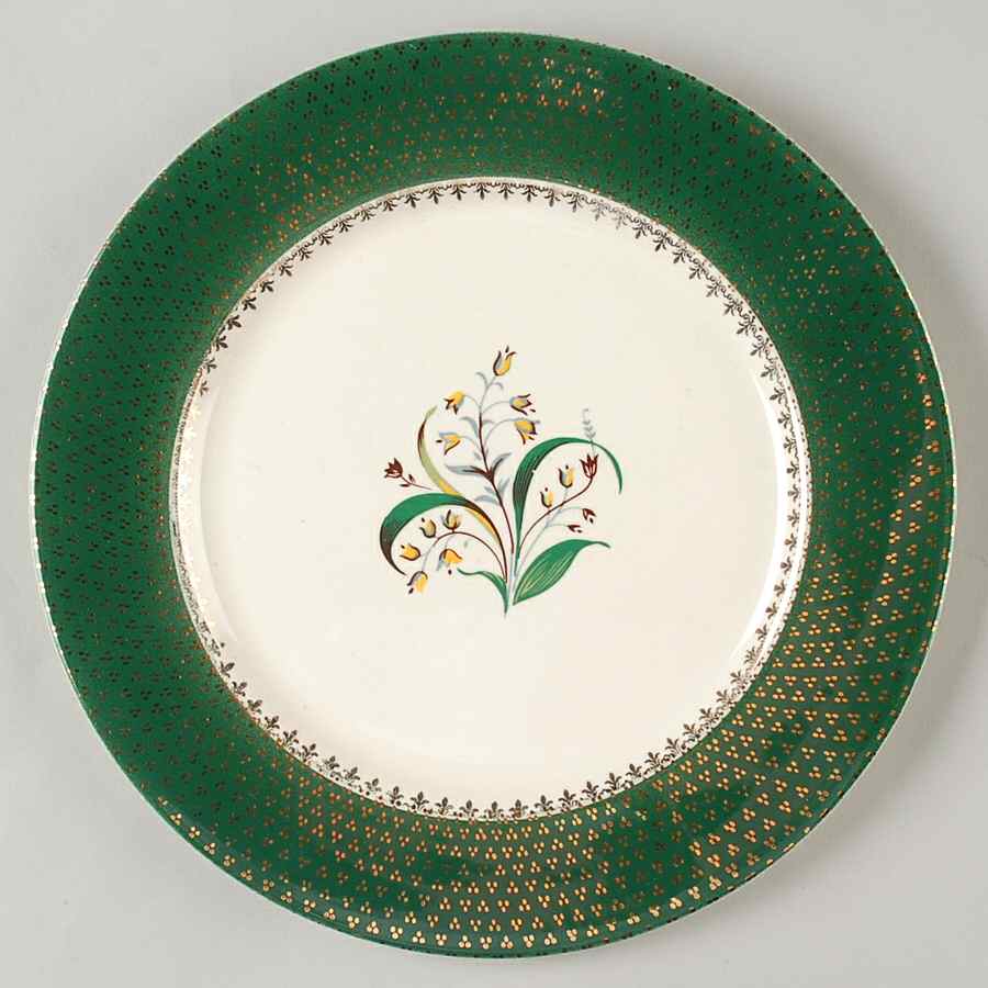 SLM43 Dinner Plate by Salem-1